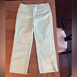 NWT LOFT Light Green Chinos